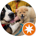 Francisco Manuel Melchor M. profile picture